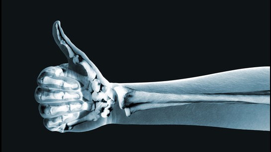 Northern Light Mercy Hospital Hand Conference Banner